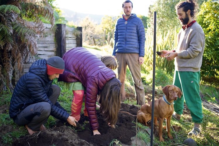 Two people gardening outdoors with a dog nearby