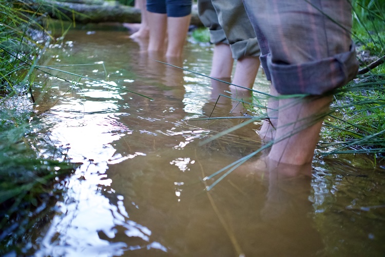People wading through a stream during the Momentum gathering