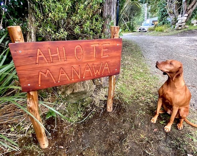 Wooden sign reading 'Ahi o te Manawa' on a forest path, with a dog sitting beside it